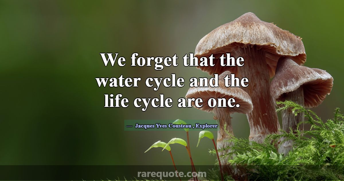 We forget that the water cycle and the life cycle ... -Jacques Yves ...