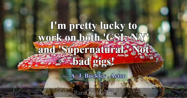 I'm pretty lucky to work on both 'CSI: NY' and 'Su... -A. J. Buckley