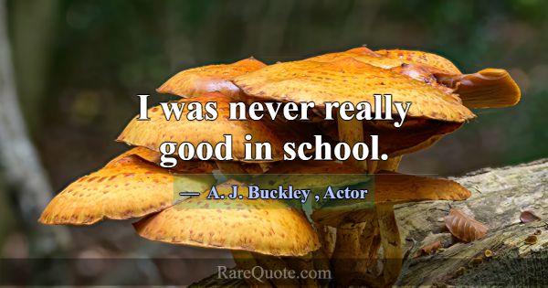 I was never really good in school.... -A. J. Buckley