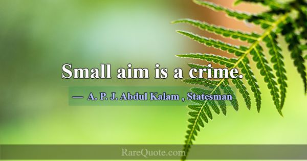 Small aim is a crime.... -A. P. J. Abdul Kalam