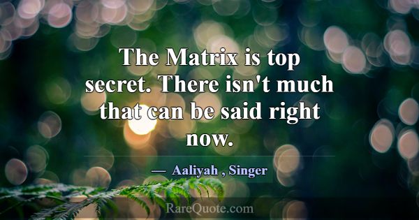 The Matrix is top secret. There isn't much that ca... -Aaliyah