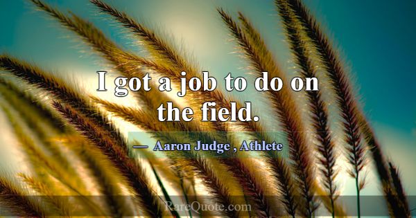 I got a job to do on the field.... -Aaron Judge