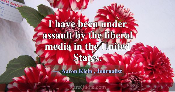 I have been under assault by the liberal media in ... -Aaron Klein
