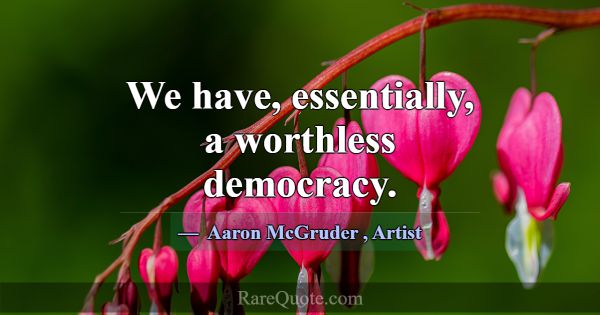 We have, essentially, a worthless democracy.... -Aaron McGruder