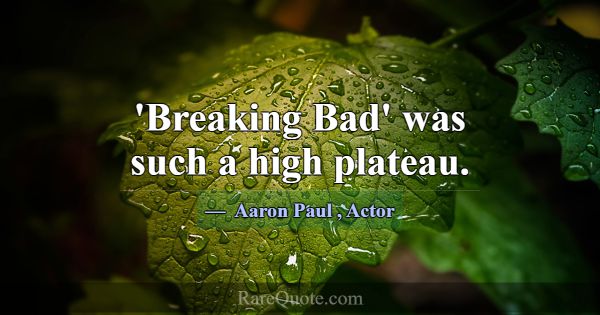 'Breaking Bad' was such a high plateau.... -Aaron Paul