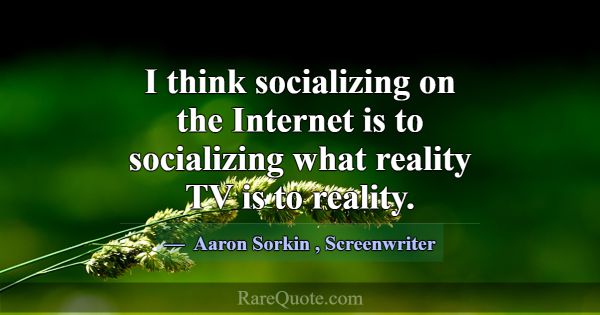 I think socializing on the Internet is to socializ... -Aaron Sorkin