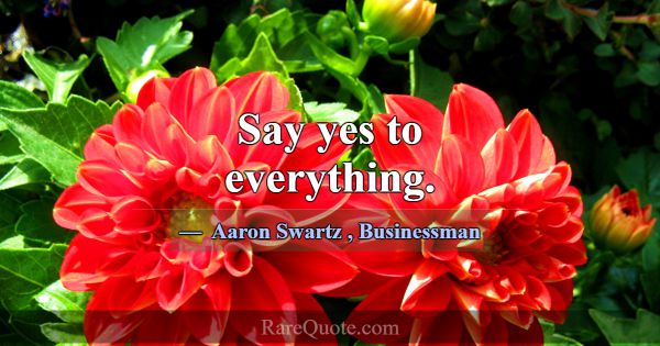 Say yes to everything.... -Aaron Swartz