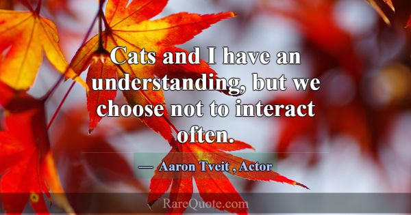 Cats and I have an understanding, but we choose no... -Aaron Tveit