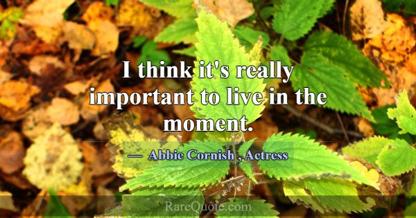 I think it's really important to live in the momen... -Abbie Cornish