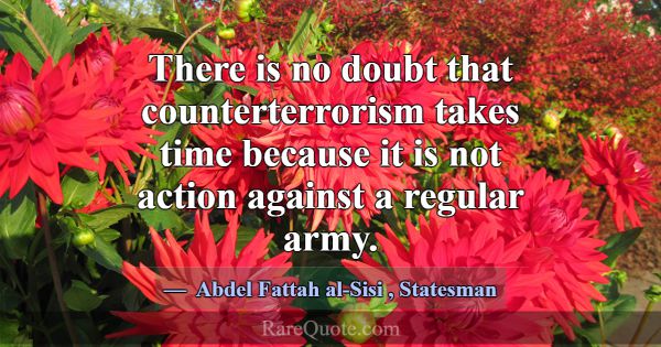 There is no doubt that counterterrorism takes time... -Abdel Fattah al-Sisi
