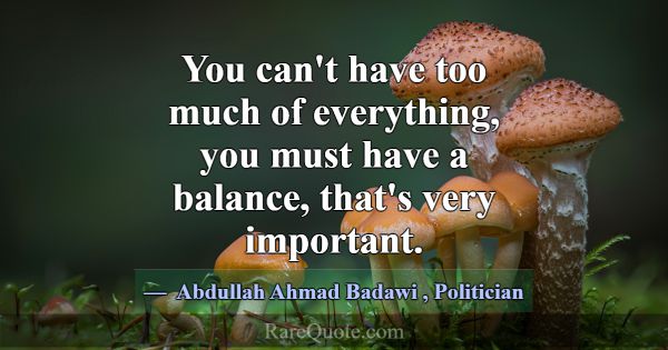 You can't have too much of everything, you must ha... -Abdullah Ahmad Badawi