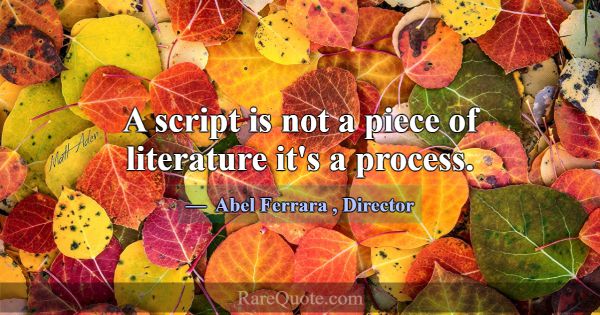 A script is not a piece of literature it's a proce... -Abel Ferrara