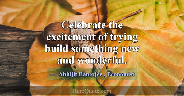 Celebrate the excitement of trying build something... -Abhijit Banerjee