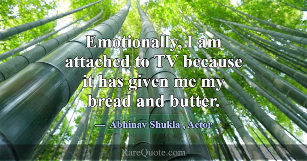 Emotionally, I am attached to TV because it has gi... -Abhinav Shukla