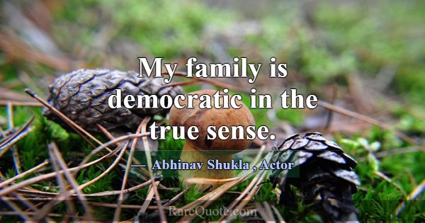 My family is democratic in the true sense.... -Abhinav Shukla