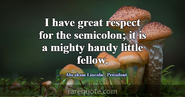 I have great respect for the semicolon; it is a mi... -Abraham Lincoln