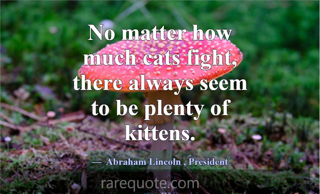 No matter how much cats fight, there always seem t... -Abraham Lincoln