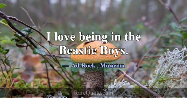 I love being in the Beastie Boys.... -Ad-Rock
