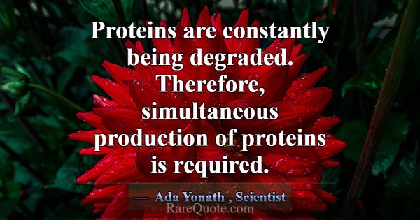 Proteins are constantly being degraded. Therefore,... -Ada Yonath