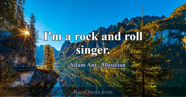 I'm a rock and roll singer.... -Adam Ant