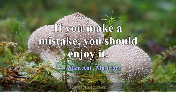 If you make a mistake, you should enjoy it.... -Adam Ant