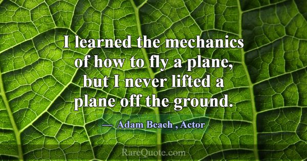 I learned the mechanics of how to fly a plane, but... -Adam Beach