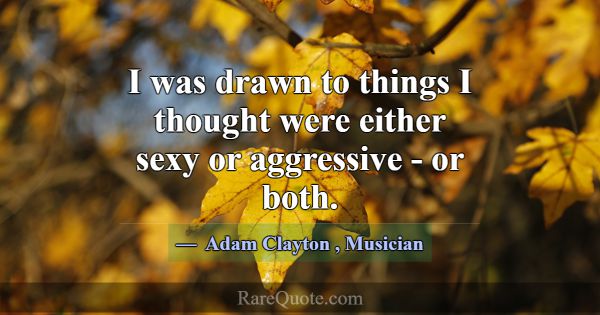 I was drawn to things I thought were either sexy o... -Adam Clayton