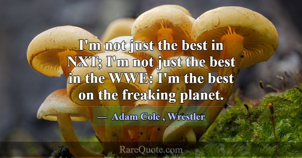 I'm not just the best in NXT; I'm not just the bes... -Adam Cole