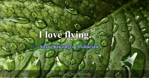 Adam Kinzinger Quotes - RareQuote