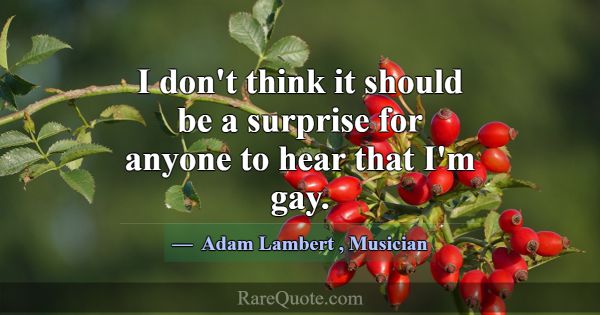 I don't think it should be a surprise for anyone t... -Adam Lambert