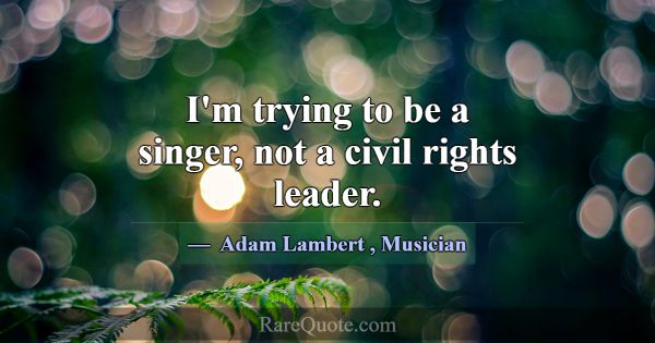 I'm trying to be a singer, not a civil rights lead... -Adam Lambert