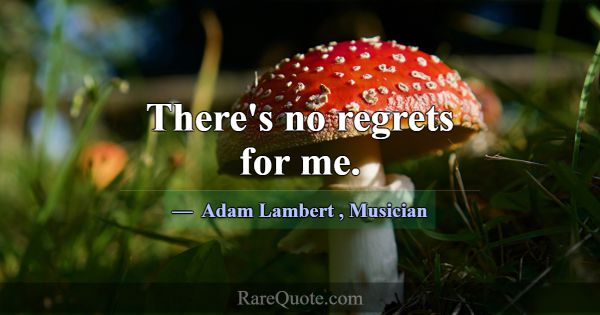 There's no regrets for me.... -Adam Lambert