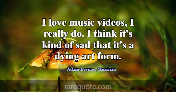 I love music videos, I really do. I think it's kin... -Adam Levine