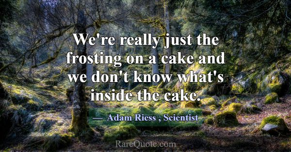 We're really just the frosting on a cake and we do... -Adam Riess