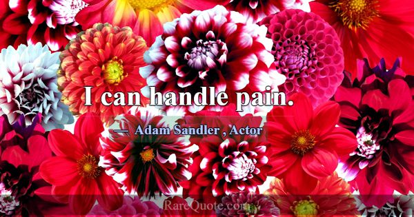 I can handle pain.... -Adam Sandler