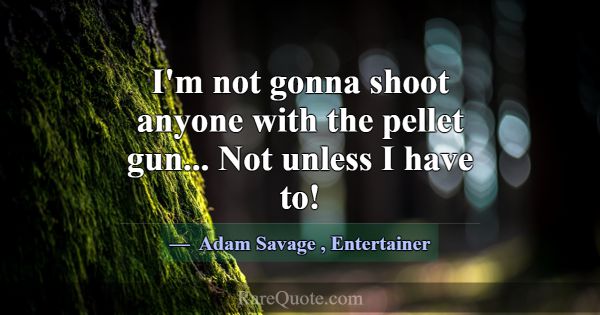 I'm not gonna shoot anyone with the pellet gun... ... -Adam Savage