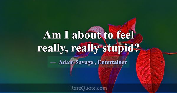 Am I about to feel really, really stupid?... -Adam Savage