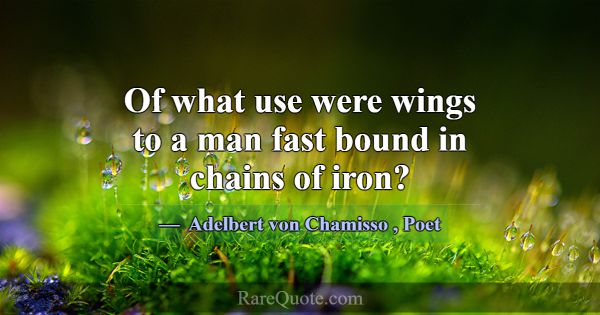 Of what use were wings to a man fast bound in chai... -Adelbert von Chamisso