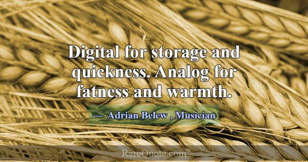 Digital for storage and quickness. Analog for fatn... -Adrian Belew