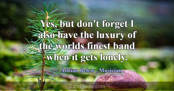 Yes, but don't forget I also have the luxury of th... -Adrian Belew
