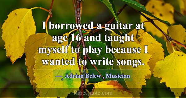 I borrowed a guitar at age 16 and taught myself to... -Adrian Belew