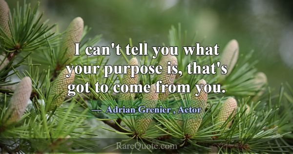 I can't tell you what your purpose is, that's got ... -Adrian Grenier