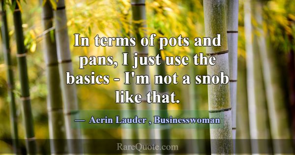 In terms of pots and pans, I just use the basics -... -Aerin Lauder