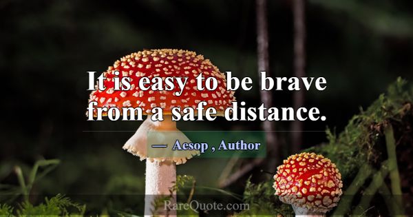 It is easy to be brave from a safe distance.... -Aesop