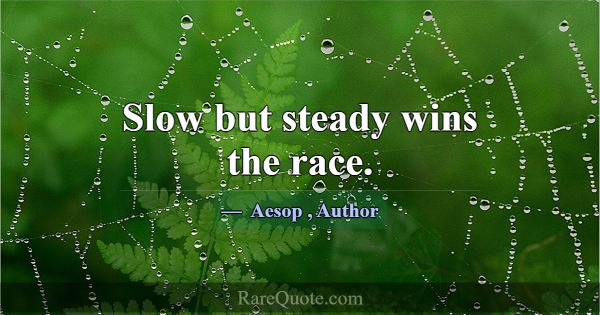 Slow but steady wins the race.... -Aesop