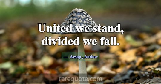 United we stand, divided we fall.... -Aesop