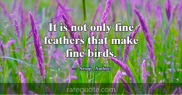 It is not only fine feathers that make fine birds.... -Aesop