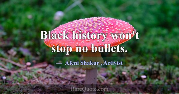 Black history won't stop no bullets.... -Afeni Shakur