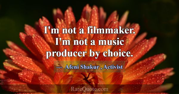 I'm not a filmmaker. I'm not a music producer by c... -Afeni Shakur