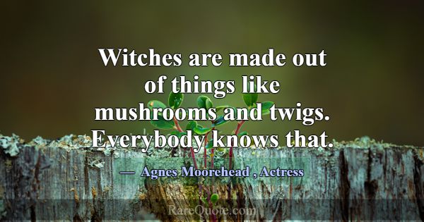 Witches are made out of things like mushrooms and ... -Agnes Moorehead